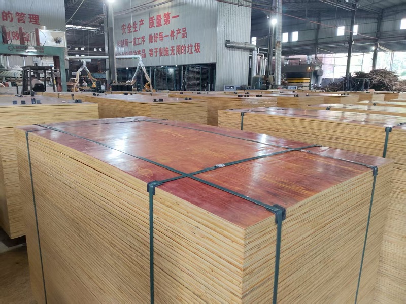 廣西建筑木模板銷售方案插圖1